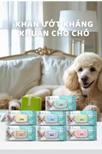 Khăn ướt cho chó mèo Kháng khuẩn trắng Absorb Antibacterial Absolute