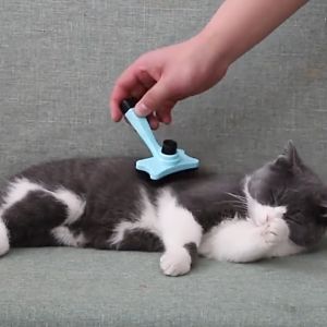 Multi-Color Pet Grooming Brush for Dogs & Cats - Hair Removal Shedding and Massage Comb
