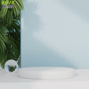BISEN BK-920 LED+ RGB Fill 360°ring Video Light. Wide range of applications Selfies video chats live recordings shooting fills etc.Can be clipped to use in any scenario.