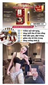 Viên Xổ Mỡ Vành Ruột Linh Chi Đỏ Chính Hãng Hộp 10 Viên