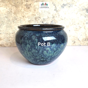 The Leaferie Augustin plant pots 3 colours Ceramic flowerpot flowerpots flower pot planter planters