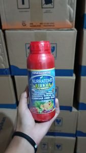 TERMURAH Pupuk semprot atasi hama burung padi terampuh - Obat Semprot Pengendali Hama Burung Pipit Sawah Terbaik - Obat Pengusir Hama Padi Seperti TikusBurung dan wereng - NURRATONIX SIRKUS 500ML ORIGINAL 100%