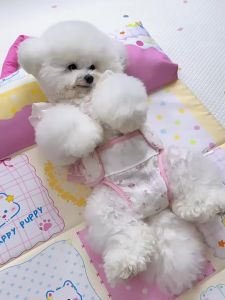 hipidog | Preventive Anti-Harassment Female Dog Panties