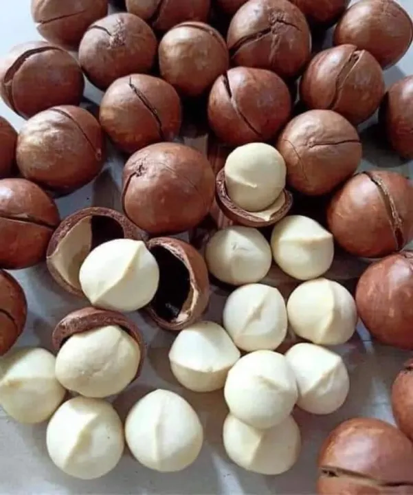 1kg hạt macca hữu cơ sấy chín giòn ngon ăn vặt và làm sữa hạt
