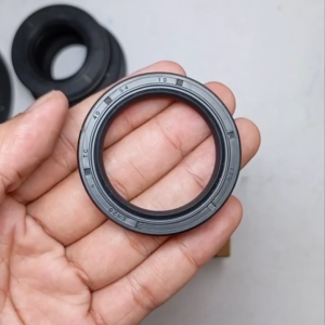 Seal Tc 40 54 10 TTO INB Original TTO