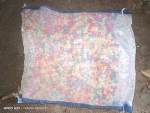 batu aquarium aquascape batu taiwan kualitas import kemasan 1 karung isi 5kg