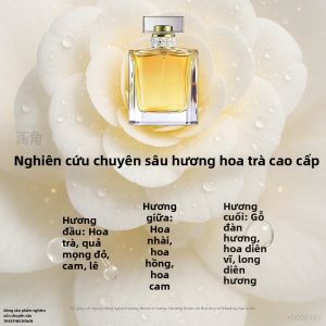 ZHIHAOEN | Đệm Giày Chống Mồ Hôi Kháng Khuẩn Mỏng Bám Chắc Phù Hợp Đi Barefoot Thoải Mái Góc