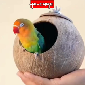 Natural Coconut Shell Parrot Bird Nest Hanging Sugar Glider House Warm Bed Anti-Bite Cage With Ladder Toy SARANG BURUNG