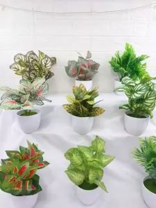 Penghias Taman dan Ruangan: Pot Tanaman Hias Bunga Hias Plastik & Ornamen Pot Bonsai