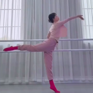 Dance Bar Adjustable Dance Room Dedicated ChildrenS Adult Leg Press Bar Household Ballet Barre/Dance/Yoga/Leg Pressing Pole