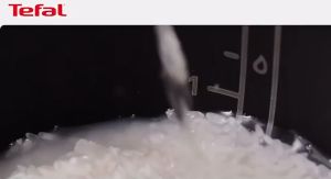 Tefal RK1721 0.4L Mini Rice Cooker