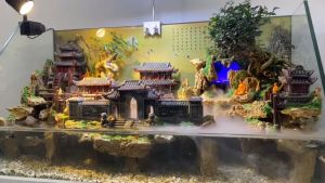 Nhà 1 tầng dài trang trí tiểu cảnh non bộ sân vườn