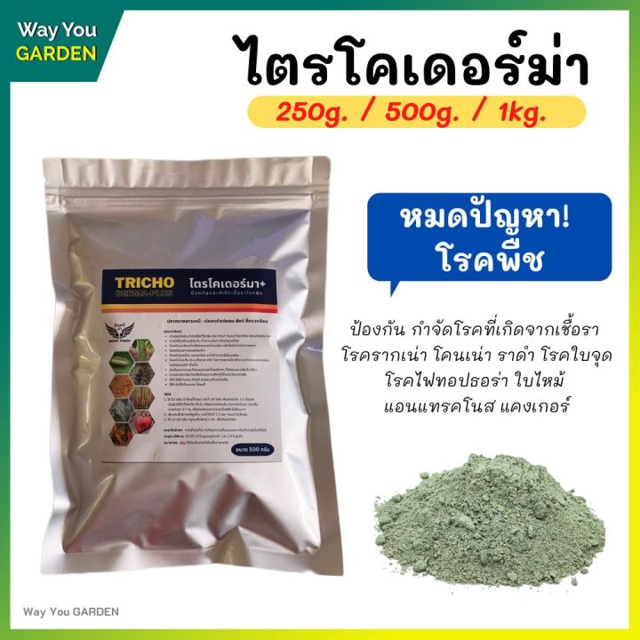 ไตรโคเดอร์มาผง ควบคุมโรคพืชและกำจัดแมลง มีหลายขนาด