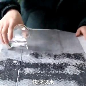 Pet Dog Training Pad Pet Cat Wee Pee Poop Urinal Disposable Super Absorbent Diapers Trays Deodorization