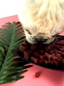 แถบเนื้อขนมสุนัข 500g ขนมสุนัข 20 ชั่วโมง รวม วัตถุดิบ SDAO ซื้อ ที่ไหนดี ให้คุณได้ทำการพกพาเพิ่มเติมต่อไป