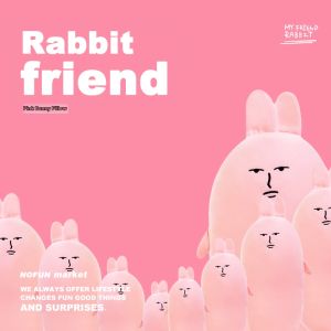 WUQUGONGSHE | Cute Funny Bunny Plush Pillow Gift for Girls Friend