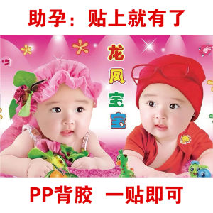 Fertile Couple Seeking Baby Pictures Wall Stickers Adorable Dragon And Phoenix Twin Babies Poster Modern Decorative Art