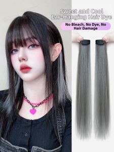 AINIYA | Streaked Colored Hair Extension