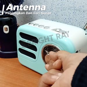 WIRATA LT-2008 Rechargeable Radio Retro Sytle Radio FM Radio Support Micro TF Card and USB MP3 Player Portable Radio