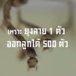 ทรายอะเบท ทรายกำจัดยุง ทรายกำจัดลูกน้ำ เทมีการ์ด