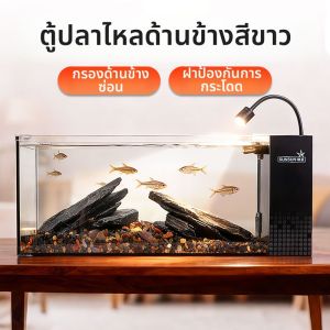 sunsun | Bể Cá Nhỏ Sáng Tạo Sinh Thái Kính Siêu Trong