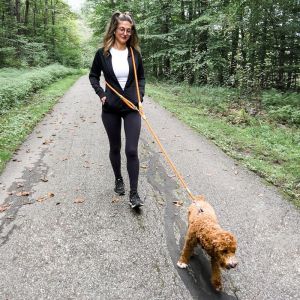 Reflective Hands-Free Dog Leash for Hiking Walking and Running - Adjustable Waist and Crossbody Leash for Small and Large Dogs - Bungee Leash for Shock Absorption and Comfort