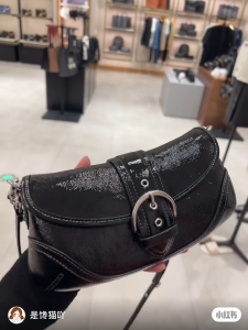 Coach Original Authentic Women Sling Cross Body Shoulder Bag Small Soho Summer Canvas Underarm Pouch CAN43 CAN44 CAN45。