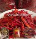 vivin03 Store