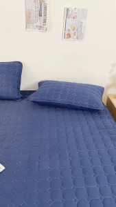 2 Pcs/Set Pillow Case Waterproof Pillow Protector 20X30 Inches Sizes Bed Pillow Cover Envelope design