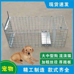 Large Humane Dog Catching Cage & Cat Trapping Device: A Comprehensive Guide