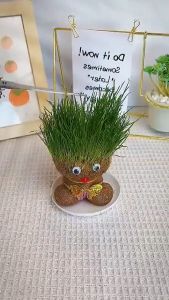 Grass Head Decor Doll: A Fun & Educational Planting Activity
