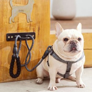 ชุดสายจูงสายจูงสุนัข1.2เมตรสำหรับลูกสุนัขปรับได้สำหรับลูกสุนัขแมวน้ำหนักเบานุ่มสบายสายจูงสัตว์เลี้ยงแบบเป็นเสื้อสายจูงสัตว์เลี้ยงเดินกลางแจ้งสำหรับสัตว์เลี้ยง