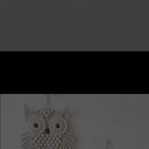 Looks Hand Work Macrame Wall Hanging Owl Dream Catchers Large Handmade Boho Woven Modern Wall Art for Kids Bedroom 10x23 Inch