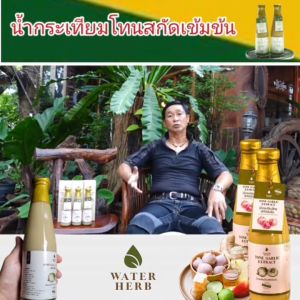 น้ำกระเทียมโทน สกัดเข้มข้น WATERHERB กระเทียมโทน ขิง มะนาว น้ำผึ้ง แอปเปิ้ลไซเดอร์ ชุด 2 ขวด ( 1 ขวด ปริมาณ 300 ml.)
