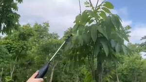 Electric portable sprayer 8L agricultural spray garden backpack automatic sprayer USB rechargeable plant sprayer bottle sprinkler gardening/disinfection spray