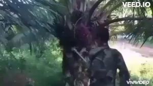 อุปกรณ์เครื่องมือแทงทะลายปาล์ม เครื่องตัดปาล์มน้ำมัน หัวเปลี่ยน 3แบบ เสียม เคียว ใบเลื่อย ใช้งานได้ดี สินค้มีอนุสิทธิบัตรห้ามละเมิด