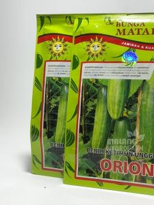 Benih Mentimun Orion 20 gr: Panduan Lengkap
