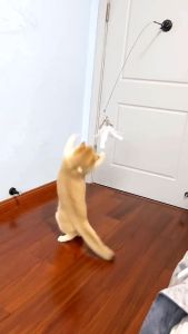 SOAR Cat self-hitting long rod teasing cat stick steel wire feather bell replacement head suction cup fixed