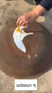 กำจัดสนิม น้ำยากัดสนิม100MLสารแปลงสนิม น้ำยาขัดสนิม ล้างสนิม น้ำยาหยุดสนิม น้ำยาทาสนิม น้ำยาขจัดคราบสนิม น้ำยาล้างสนิม น้ำยาฉีดสนิม น้ำยากำจัดสนิม น้ำยาทากันสนิมน้ำยาลอกสนิม เจลกำจัดสนิม น้ำยาขจัดสนิมโลหะ น้ำยาขจัดสนิม กำจัดสนิมเหล็ก - Lazada