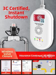 Boleesch | Gas Leak Alarm Methane Detector Auto Valve Shut Off