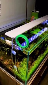 VÒNG NỔI TRÒN THỨC ĂN CHO CÁ ĂN ĐƯỜNG KÍNH 75CM