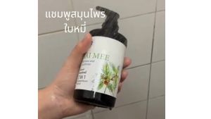 แชมพูสมุนไพีใบหมี่ ขิง อัญชัญ สูตรผสมครีมนวด ลดผมร่วงเร่งผมยาว