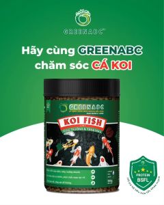 Cám cá koi GREENABC - Độ đạm 40 tăng size tăng màu đề kháng khỏe tiêu hóa tốt - Hộp 950g