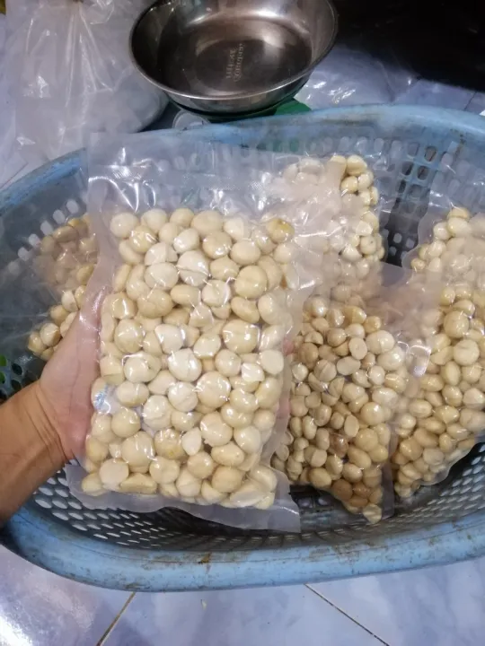 Nhân macca sấy đã bóc vỏ hạt to ngon