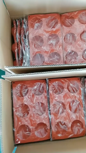 CETAKAN SERBAGUNA 6 LUBANG CETAKAN KUE COKLAT DAN JELLY MODEL BULAT
