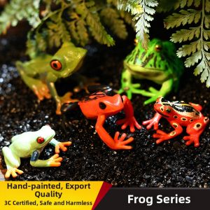 MENGSILE | Realistic Children Educational Animal Model Frogs