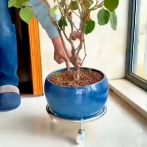 Plant Dolly with Wheels & Brake Stainless Steel Rolling Stand Heavy Duty for Gas Tank Flower Pot 120KG