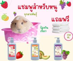 แชมพูแก็สบี้ ห้อแพรี่บัน แถมฟรีผ้าซับตัว