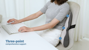 Livegood Memory Foam Lumbar Support Cushion | Ergonomic Back Support for Office Chair & Car Seat