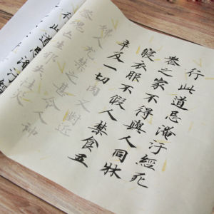 Lingshi Calligraphy Practice Book Large Print Version Red Tracing for Beginners Chinese Traditional Cursive Script on Xuan Paper